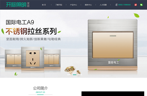 开际照明电器网站设计制作开发